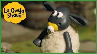 La Oveja Shaun 🐑 Temporada 3 Cada Episodio Épico 🐑 Dibujos animados para niños 🐑 [upl. by Noid775]