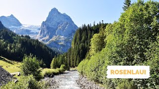 ROSENLAUI SWITZERLAND [upl. by Namyw]