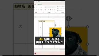 秒速でセルに画像を埋め込む方法 エクセル初心者 エクセル エクセル学習 エクセル関数 エクセル仕事 エクセル便利技 [upl. by Alraep149]