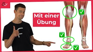 Starke Knie Füße und Sprunggelenke  Mit nur einer Übung [upl. by Mauralia]