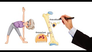 Pharmacology  DRUGS FOR OSTEOPOROSIS MADE EASY [upl. by Gervais]