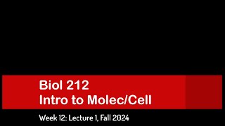 CSULB Biol 212 Fall 2024  Week 12 Lecture 1 [upl. by Isia]