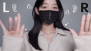 LR 시각적 팅글 좌우 구분👂🏻ASMR 이어블로잉 HandmovementsLip💋 [upl. by Annayar748]