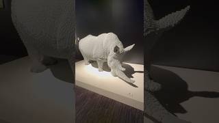 Lego Rhino artofthebrick franklininstitute lego legos philly animals animalart usa art [upl. by Teddi]