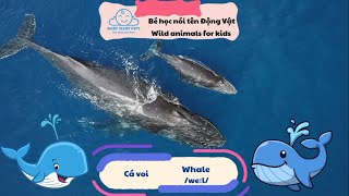 Bé học tên các sinh vật biển Song ngữ Anh Việt  Learn the names of sea animals [upl. by Yonit]