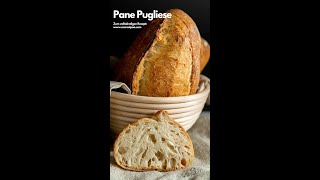 Pane Pugliese  Italienisches Brot mit Lievito Madre shorttipsandtricks shortrecipe lievitomadre [upl. by Aneladdam]