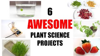 10 Awesome Plant Science Projects [upl. by Rehtae118]