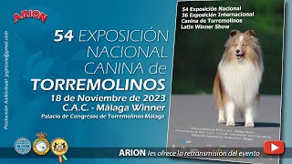 54 Exposición Nacional Canina de Torremolinos 2023 [upl. by Nwavahs]