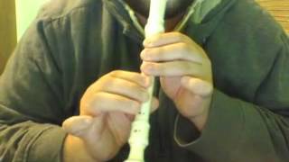 The Lord Of The Rings Theme on recorder [upl. by Marden]