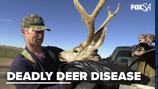 Slowing the spread of Chronic Wasting Disease in deer [upl. by Juakn]