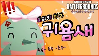 트위치 최고 귀욤새 호무새배틀그라운드 [upl. by Anderea]