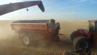 Huge farm in Alberta canada over 65 000 acres BampD WALTER FARMS Walters harvesting [upl. by Ennove]