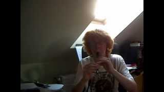 Eluveitie  A Rose for Epona Clarke Meg D Tin Whistle cover [upl. by Monaco]