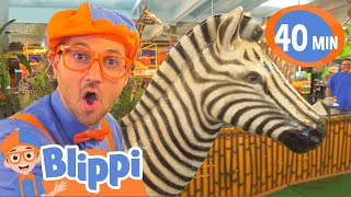 Blippi Learns Jungle Animals  Animals For Kids  Educational Videos For Children [upl. by Ingra]