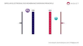 Bipolar Electrodialysis Membranes Working Principle in 1 min  DESALT by YASA ET [upl. by Haeli455]