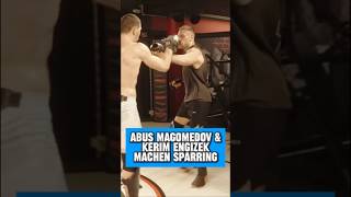 Abus Magomedov amp Kerim Engizek machen Sparring mma fight fighter ufc oktagon engizek abus [upl. by Palua]