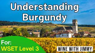 Understanding The Burgundy Appellation structure for WSET Level 3 [upl. by Uchida]