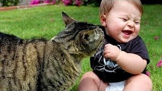 Funny Babies Laughing at Cats Compilation 2017  Cats Loves Babies Video [upl. by Nyrhtak]