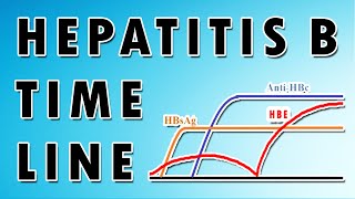 Hepatitis B Serology Patterns for Accurate Diagnosis [upl. by Harvard568]