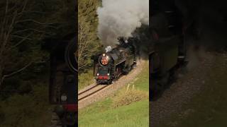 🇸🇰🇨🇿Parní lokomotivy 475179 475196 train vlak lokomotiva vlaky railway steam history rail [upl. by Bierman980]