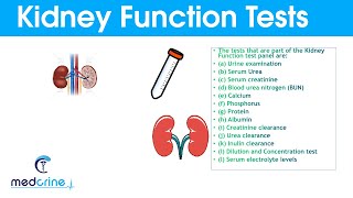 Kidney Function Tests and Interpretation of Results [upl. by Lawtun]