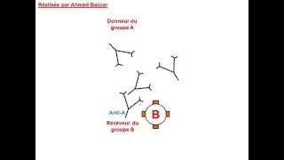 Mécanisme de lhémagglutination [upl. by Evangelist]