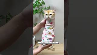 Velcro fabric for cat Link is on bio or copywwwniopetscom [upl. by Race]