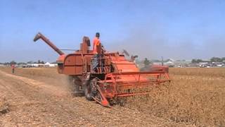 AllisChalmers 100 AllCrop Combine [upl. by Sidran]