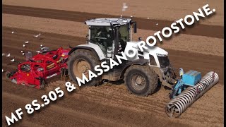 4Kᵁᴴᴰ March 2024 Massey Ferguson 8S305 amp Massano Rotostone Stone Burier near Kirton Suffolk [upl. by Charlie388]