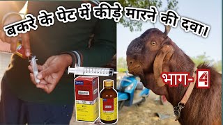 bakre ki deworming ka tarika भाग 4 l बकरे के पेट में कीड़े मारने की दवा। Deworming kaise kare [upl. by Aldridge]