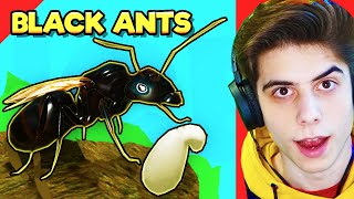 I made an Black Carpenter Ant Colony in Ant Life V2 beta testing [upl. by Lattie685]