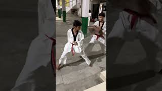 india taekwondo indiataekwondo flyingkick martialartsmove [upl. by Lamori]