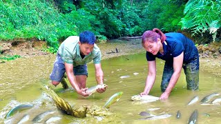 Time lapse  Raising and harvesting wild carp after 6 months Store and eat within 1 month [upl. by Duck266]