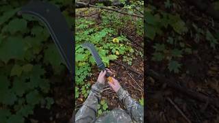 This Fiskars WoodXpert XA3 [upl. by Hansen768]