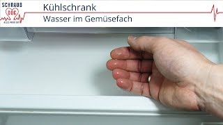 Kühlschrank  Wasser im Gemüsefach [upl. by Ettelliw727]