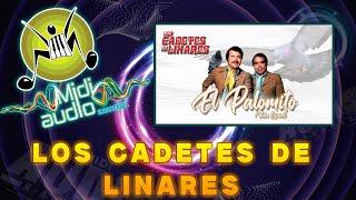 KARAOKE LOS CADETES DE LINARES NO MAS LAS MUJERES QUEDAN MIDI AUDIO STUDIOS NESTOR ARMENDARIZ [upl. by Zarger]