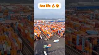 Container ship ship shipping merchantnavy viralshorts youtubeshorts container [upl. by Nerua]