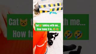 The Rise and Fall of the Talking Cat Empire 😺 cat catlover shorts short shortvideo shortsfeed [upl. by Gayelord29]