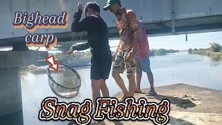 Snag fishing bighead carp fishing [upl. by Ydnew569]