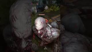 Dying Light 2  Accidentally Attacking Volatile  Free Roam Gameplay [upl. by Randie68]