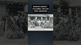 Banana Market in Colombo Ceylon  Glimpses of the British Colonial Era ceylon [upl. by Novihs199]