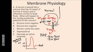 Membrane Physiology 4 [upl. by Mouldon209]