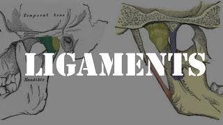 Ligaments of temporomandibular joint [upl. by Tsyhtema]