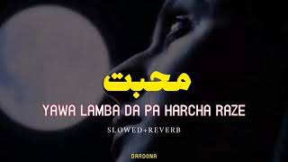 Muhabat yawa Lamba da pa har Cha raze TikTok new viral song 2024 slow and reverb TikTok viral song [upl. by Durston390]