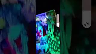 Radhakrishnan shadi dance viralvideo rewari sonu vlogs shadi dance radhakrishna shortvideo [upl. by Innig440]