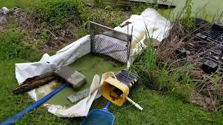 Duckweed removal Vid3 [upl. by Warthman]