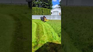 Satisfying Tall Grass Mowing [upl. by Suirtemed338]