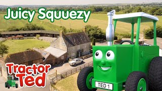 Juicy Squeezy 🫐 BRAND NEW To You Tube Kids  Tractor Ted Full Episode [upl. by Alvie126]