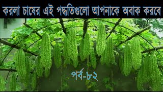 যেকোন ফেলে দেওয়া পাত্রে করলা চাষ করুন এভাবে। ফলন দেখে বিশ্বাস হবে না – খামার বাড়ি Khamar Bariপর্ব৮২ [upl. by Lord]