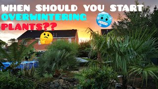 ITS GETTING COLD 🥶WHEN Should you Start PROTECTING and OVERWINTERING your TROPICAL Plants  🤔 UK [upl. by Atilamrac787]